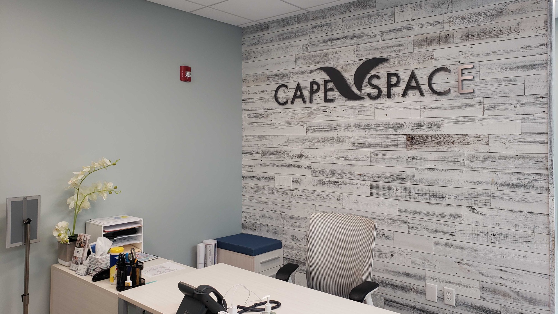 Professional Zoom Backgrounds | CapeSpace
